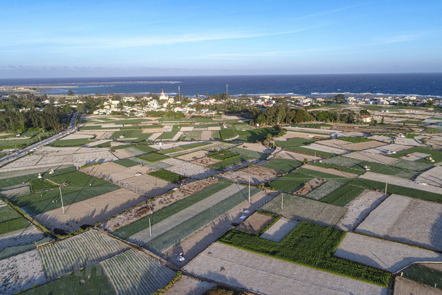 Situada al noreste de la provincia de Quang Ngai, a unos 27 kilómetros del continente, la isla de Ly Son posee unas condiciones geográficas únicas y altamente valoradas por los investigadores. Con casi 10 clases de formaciones geológicas y diversos cráteres volcánicos extraños, esta isla fascina a los investigadores. Una espesa capa de sedimento que contiene argilita, limolita y arenisca fue descubierta al este de la montaña Thoi Loi. Además, una pila de rocas de 50 metros de altura, que se extiende por cientos de metros como una alfombra gigante, junto a las aguas turquesas del mar, han hecho el paisaje de la isla aún más hermoso. (Fuente: Vietnam+)