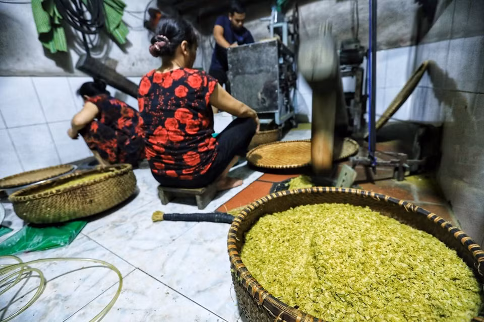 El oficio de hacer Com es extremadamente difícil, pues requiere gran paciencia y meticulosidad. Para producir buenos lotes de Com, la gente debe ser cuidadosa en todas las etapas, desde elegir el arroz, separar la cáscara y tamizarlas hasta envolver el arroz terminado. (Fuente: VNA)