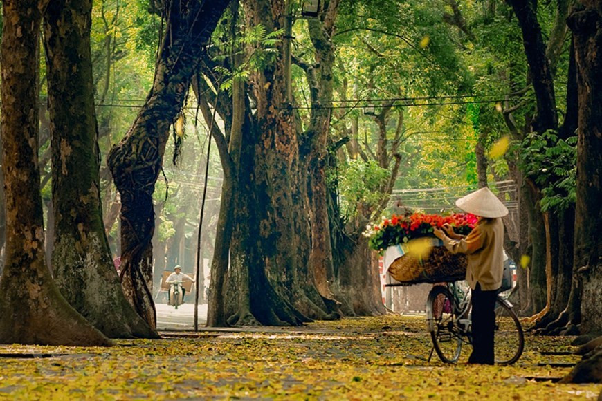 Conocida como la época más romántica del año, el otoño suele durar desde finales de agosto hasta noviembre (Fuente: Vietnamplus)