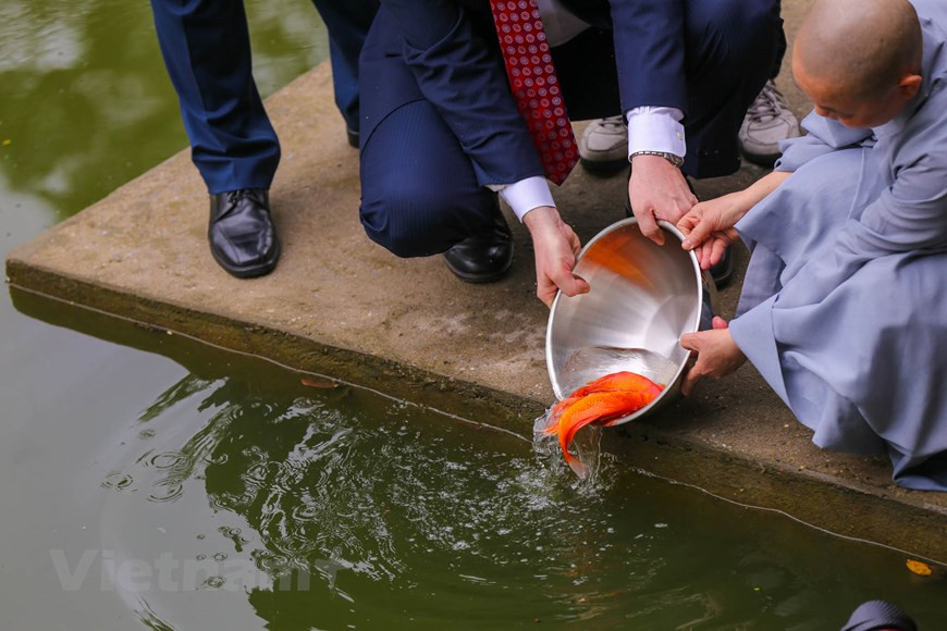 Cada vez que llega el Año Nuevo Lunar (Tet), las flores de melocotón se convierten en un "plato espiritual", un "pasatiempo" y belleza cultural en casi todas las familias vietnamitas. El cultivo de melocotón genera mayores ingresos que el de arroz en el pasado. Esas plantas son fáciles de cultivar, pero difíciles de cuidar, y tienen muchas plagas. Dos veces al mes tenemos que revisar y rociar los insecticidas para proteger las flores de las enfermedades. Con motivo de las festividades del Tet, el pueblo de Dinh Bang (provincia norteña de Bac Ninh) destinó un área a lo largo de las carreteras principales para facilitar la exhibición y compraventa de ese rubro. Espero que el oficio del cultivo de durazno siga prosperando, en aras de generar más ganancias a los agricultores, y contribuir al desarrollo económico de la localidad (Foto: Vietnam+) 