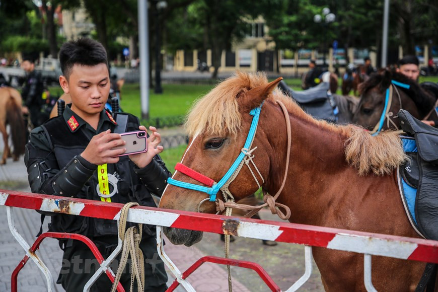 Junto con la creación de la Fuerza Móvil de la Policía, el Comando de Policía Móvil también emprende un proceso de domesticación y entrenamiento de caballos profesionales para servir a la prevención y lucha contra el crimen en Vietnam. Se trata de una de las actividades del programa y el plan elaborados por el Comando de Policía Móvil durante meses. Al mismo tiempo se informaron los resultados alcanzados hasta ahora a los delegados del noveno período de sesiones de la XIV Asamblea Nacional. Para el desfile, alrededor de 60 caballos mongoles de pura raza aparecieron temprano cerca del edificio de la Asamblea Nacional, ubicado en la capital. (Foto: Vietnam+)