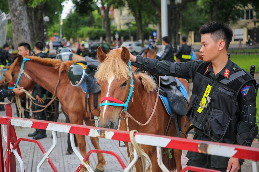 Los caballos pertenecientes a la fuerza equina son cuidados y entrenados por la Fuerza Móvil de la Policía dependiente del Comando de Policía Móvil, del Ministerio de Seguridad Pública del país indochino en la provincia norteña de Thai Nguyen. La Fuerza Móvil de la Policía es una unidad de combate constituida por decisión de la cartera de Seguridad Pública cuya función y tarea principal es entrenar y usar directamente caballos para enfrentar el crimen, garantizar la seguridad y el orden. Para simbolizar su compromiso con la misión de velar por el cumplimiento de las leyes, la mencionada entidad ofició su presentación frente a la sede de la Asamblea Nacional en Hanoi. (Foto: Vietnam+)