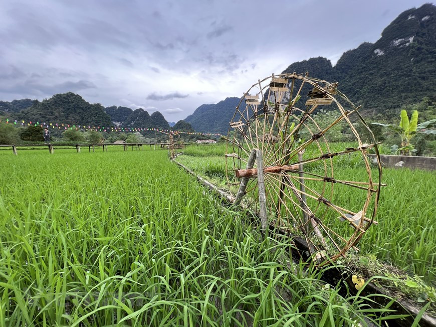 Los disímiles puntos de turismo comunitario en Tuyen Quang atraen a muchos visitantes a experimentar, convirtiéndose en un destino comunitario típico de la provincia con inversiones por parte de las empresas de viajes para su explotación y desarrollo conjunto. Además, el área turística de la fuente mineral My Lam resulta la mejor fuente única de agua mineral caliente en el norte, junto a un ecosistema armonioso, un escenario ideal para desarrollar la industria del ocio. Tuyen Quang constituye una región cultural multifacética con muchos grupos étnicos, cada uno con sus propias características culturales. El único rasgo común crea una característica única en la cultura religiosa (Fuente: Vietnam+)