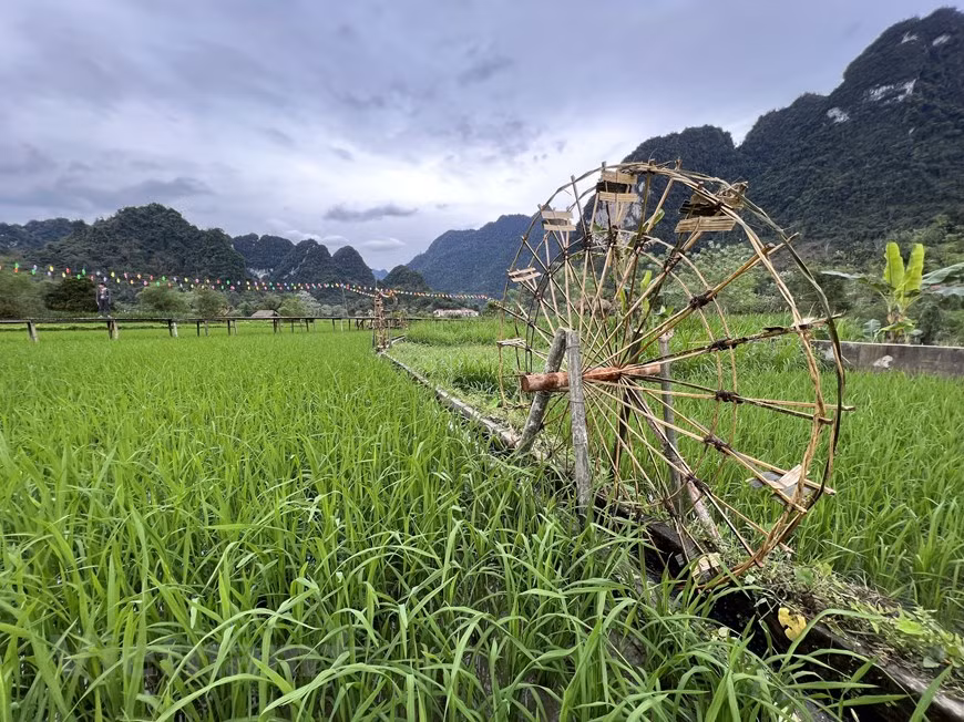 Los disímiles puntos de turismo comunitario en Tuyen Quang atraen a muchos visitantes a experimentar, convirtiéndose en un destino comunitario típico de la provincia con inversiones por parte de las empresas de viajes para su explotación y desarrollo conjunto. Además, el área turística de la fuente mineral My Lam resulta la mejor fuente única de agua mineral caliente en el norte, junto a un ecosistema armonioso, un escenario ideal para desarrollar la industria del ocio. Tuyen Quang constituye una región cultural multifacética con muchos grupos étnicos, cada uno con sus propias características culturales. El único rasgo común crea una característica única en la cultura religiosa (Fuente: Vietnam+)