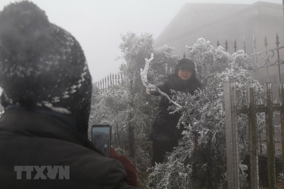 Los turistas toman fotos en el pico de la montaña Mau Son, provincia de Lang Son, en el día de congelamiento (Fuente: VNA)