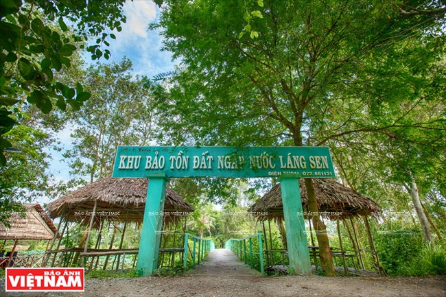 Lang Sen fue establecido en 2004, con una superficie de más de cinco mil hectáreas. Se ubica a 140 kilómetros de Ciudad Ho Chi Minh. (Fuente: VNA)