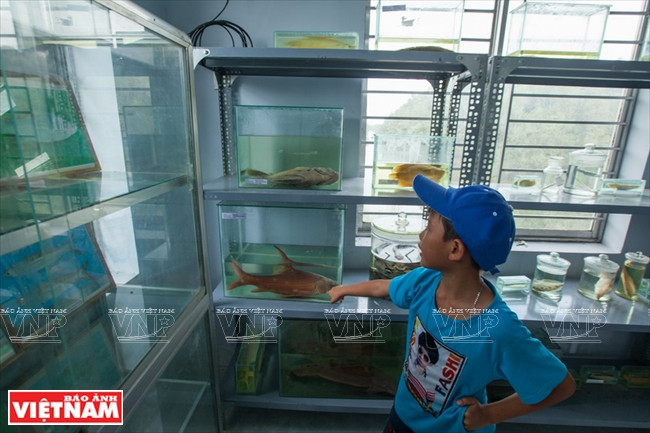 Los turistas pueden visitar un espacio de exposición sobre los animales en el Rámsar. Aquí se encuentran 156 especies vegentales, 142 variedades de aves y 86 de peces, anfibios y reptiles (Fuente: VNA)