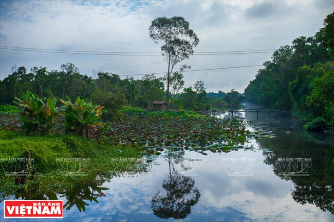 La reserva ofrece a sus visitantes una atmósfera tranquila (Fuente: VNA)