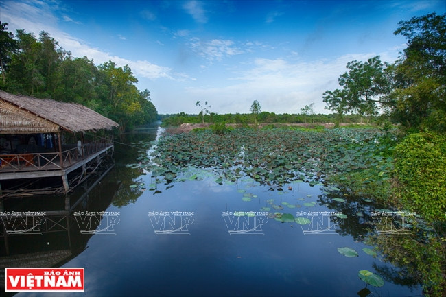 La reserva ofrece a sus visitantes una atmósfera tranquila (Fuente: VNA)