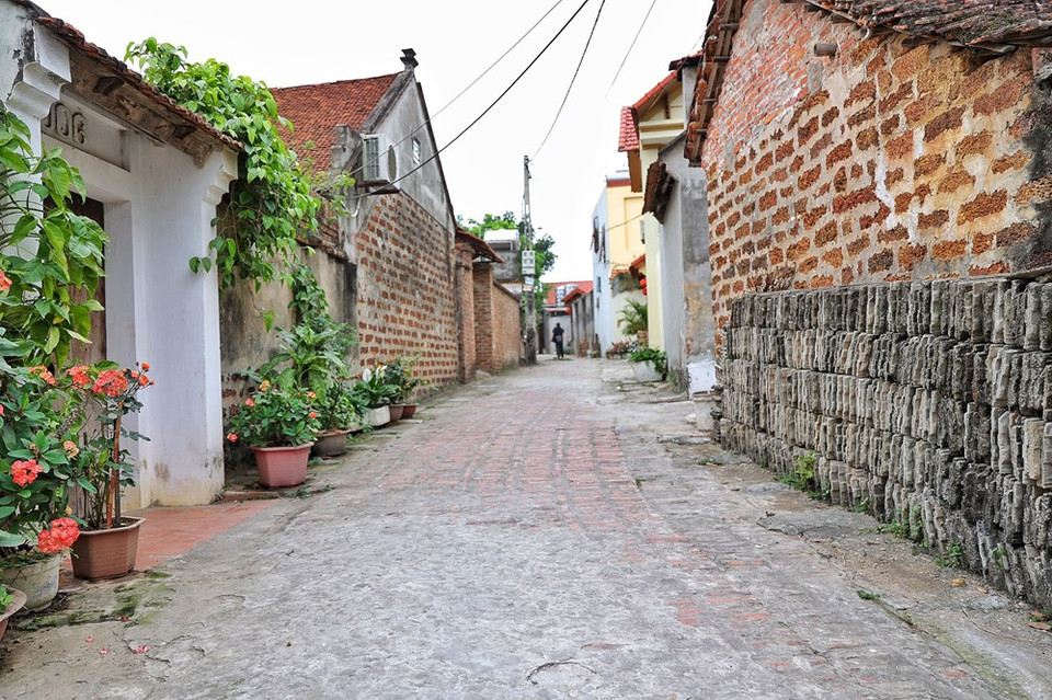 Ubicada en la ciudad municipal de Son Tay al oeste de Hanoi, la aldea de Duong Lam conserva centenares de casas antiguas, construidas con materiales tradicionales como madera y ladrillo de laterita, que datan del siglo XVII. Esas edificaciones son una de las mayores atracciones de la localidad. Hace 10 años, cuando la aldea antigua de Duong Lam fue reconocida como Patrimonio arquitectónico artístico nacional, las autoridades locales y residentes iniciaron la preservación y promoción de este sitio, con el fin de convertirlo en un destino atractivo para los turistas nacionales y extranjeros. Uno de los productos turísticos más particulares que la aldea Duong Lam brinda a los turistas en los últimos tiempos es el recorrido por la zona en el periodo de cosecha arrocera. (Foto: Vietnam+)