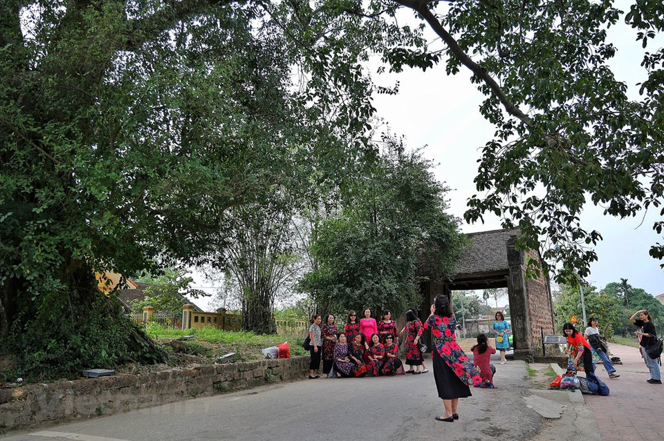 Ubicada en la ciudad municipal de Son Tay, del distrito homónimo, a unos 50 kilómetros del centro de la capital, la aldea antigua de Duong Lam posee las características típicas de una zona rural con un baniano gigante, un pozo de agua dulce y una casa comunal, junto con unas 950 viviendas antiguas que datan de hace 100 a 400 años. Con particularidades culturales, un paisaje tranquilo y una arquitectura típica de un área rural en el delta del río Rojo, la aldea antigua de Duong Lam se ha convertido durante mucho tiempo en un destino turístico favorito en la capital. Cada año recibe a unos 130 mil visitantes, incluidos siete mil extranjeros (Foto: Vietnam+)