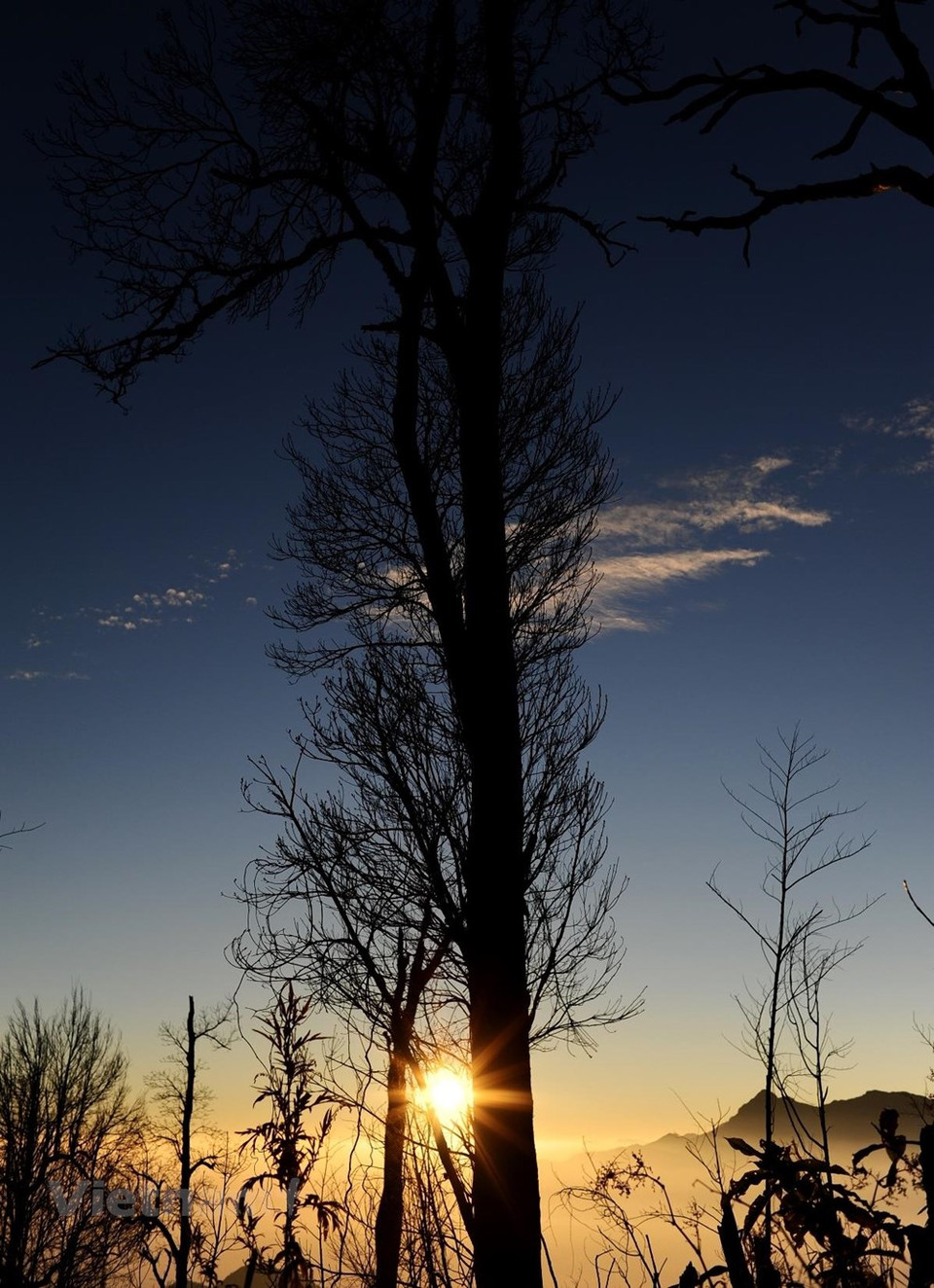 La puesta de sol baña con su luz las carreteras montañosas en la meseta de Moc Chau de la provincia norteña de Son La. Este lugar posee una vista muy hermosa con altas montañas, valles nublados durante todo el año y campos de arroz en terrazas intercalados. La meseta de Moc Chau en los distritos de Van Ho y Moc Chau es una tierra de frutas y flores en todas las estaciones del año y es considerada la "Da Lat del noroeste". Los valles llenos de flores blancas de ciruelo, las áreas de flores rosadas del melocotonero montañoso, y los campos de flores amarillas de mostaza, que se extienden hasta los pies de las colinas, atraen a los turistas a esa meseta verde. (Fuente: Vietnam+)