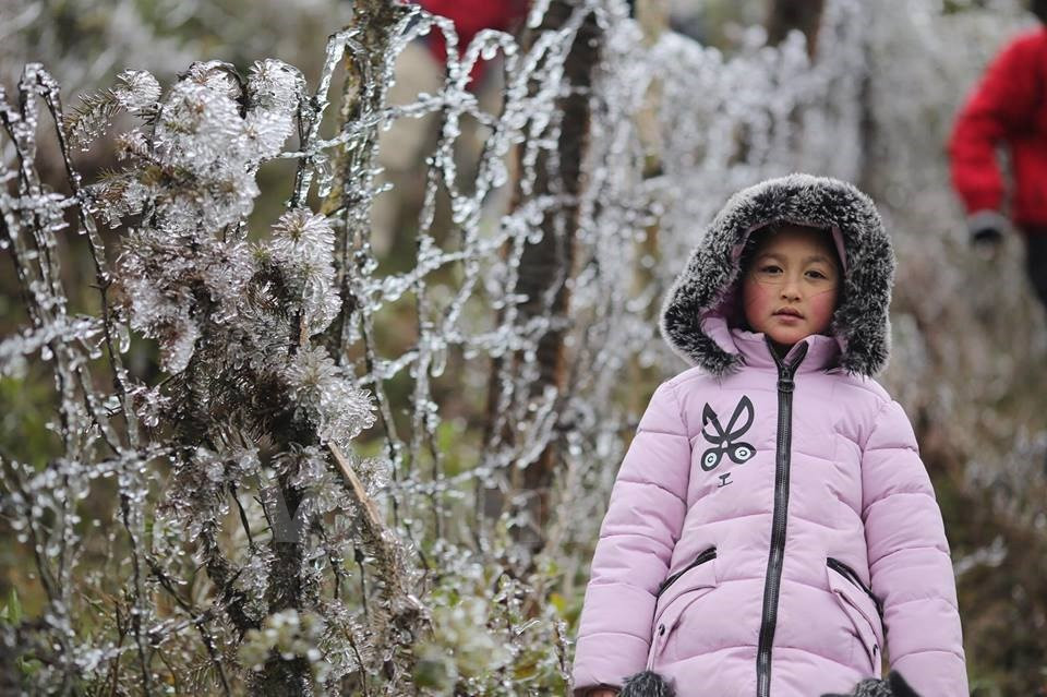 El hielo comenzó a aparecer alrededor de las 10:00 de la mañana del 11 de enero en el paso O Quy Ho, cuando la temperatura fue de un grado centígrado bajo cero. (Fuente: VNA)