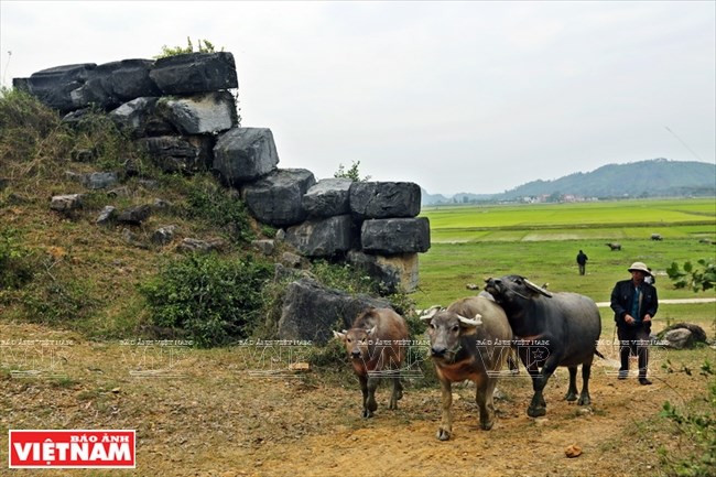 Parte de la ciudadela de la dinastía Ho (Fuente: VNA)