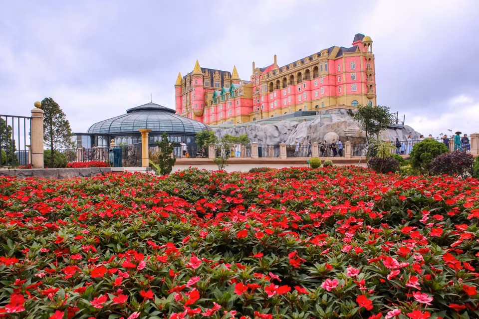 La zona turística Sun World Ba Na Hills se sumerge en la naturaleza con alfombras de flores de color rojo brillante. (Foto: VNA)