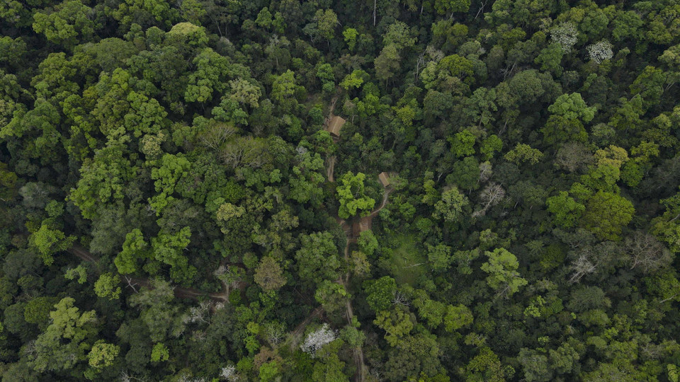 El cuartel general del Comando de Campaña de Dien Bien Phu está ubicado en el antiguo bosque de la comuna de Muong Phang, de la provincia de Dien Bien. Foto: VNA