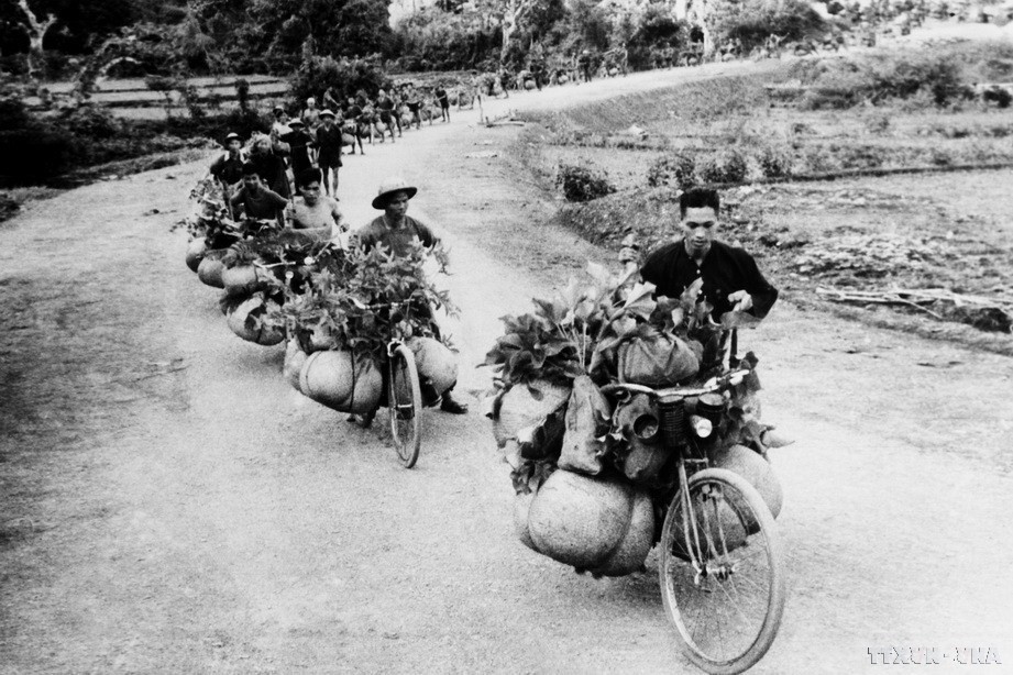 Más de 20 mil bicicletas, 261 mil 500 trabajadores y todo tipo de automóviles, barcos, lanchas y caballos transportaron -día y noche- alimentos, armas y municiones al frente de Dien Bien Phu. El gran aporte de la fuerza civil, asegurando la logística de la campaña, fue una de las principales razones de la victoria. Foto de archivo: VNA