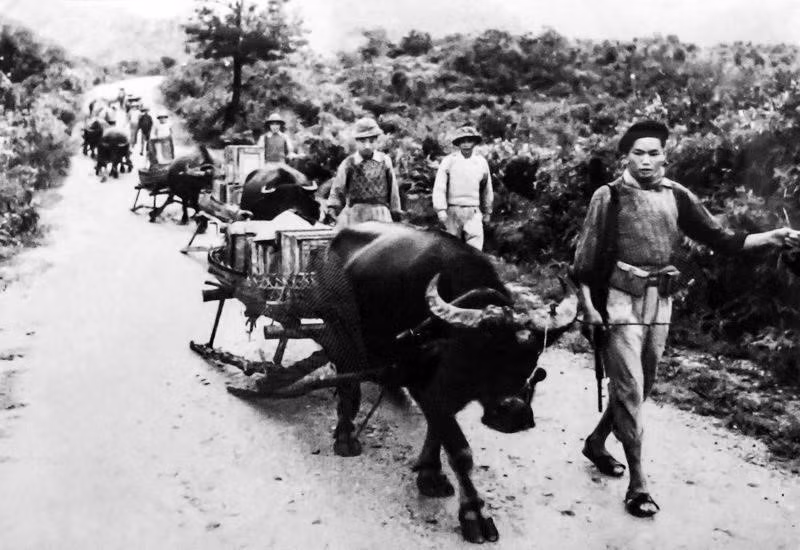 La gran contribución de la fuerza civil, asegurando la logística de la campaña, fue una de las principales razones de la victoria de Dien Bien Phu. Foto: VNA