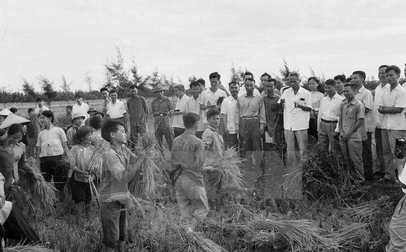 Recorrió cultivos de arroz en la provincia de Ha Tay (ahora anexada a Hanoi), en 1971 (Fuente: VNA)