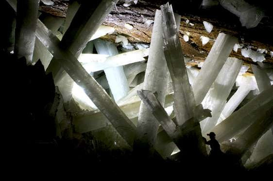 Cuerva Cristal de Mexico (Fuente: msn)