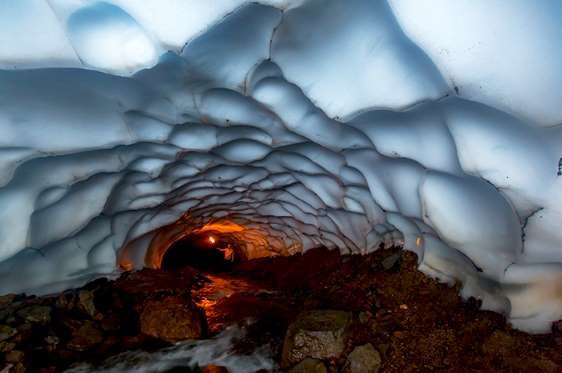  Cuerva en el volcán Mutnovsky de Rusia (Fuente: msn)