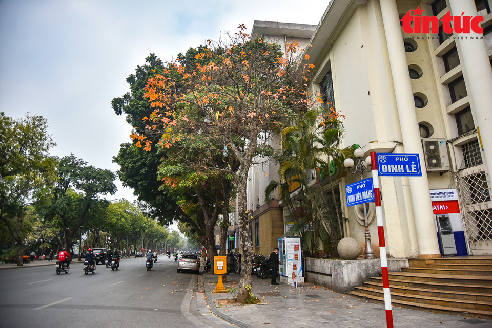 La Oficina de Correos de Hanoi, en el distrito de Hoan Kiem, está coloreada con hojas de manglares de agua dulce. (Foto: VNA)