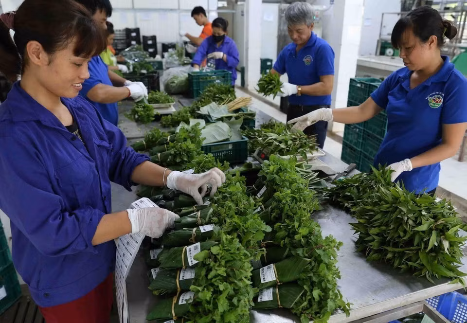 No utilizar bolsas de alimentos ni de nylon también resulta una solución eficaz para proteger las fuentes de agua limpia. (Foto: VNA)