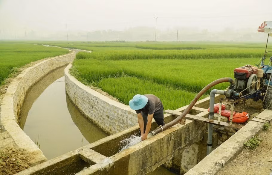 La gente de la provincia de Dien Bien utiliza bombas para regar los campos de arroz. (Foto: VNA)