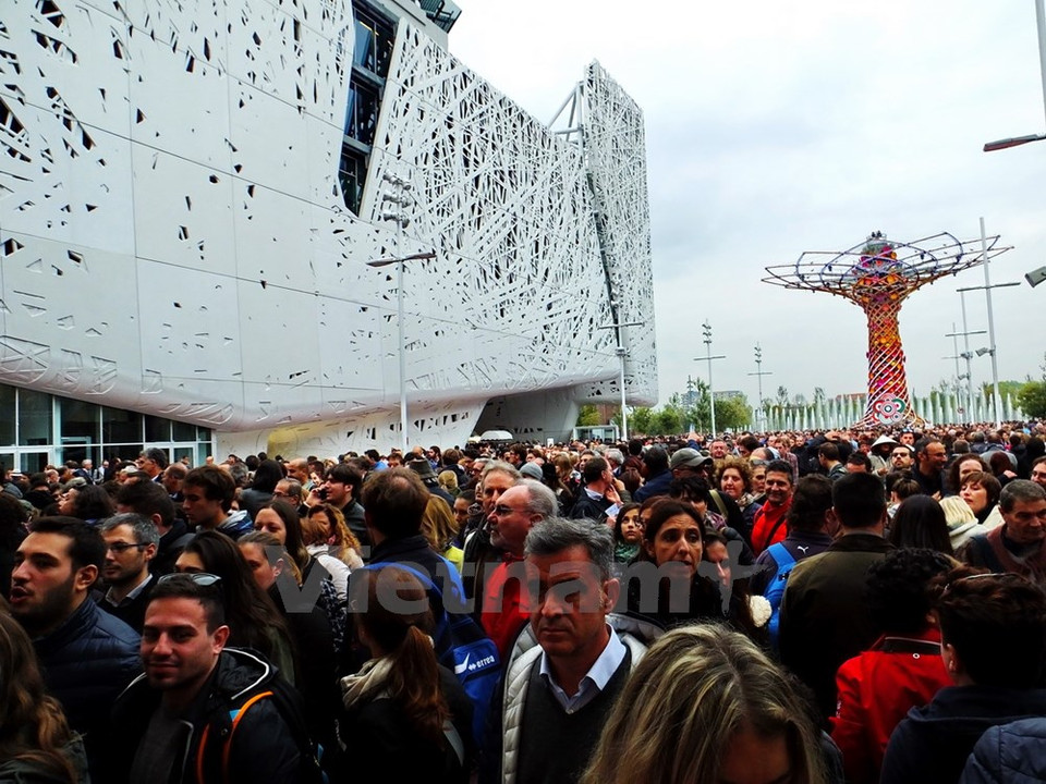 Este día la Expo Milán atrajo a 130 mil visitantes (Fuente: VNA)