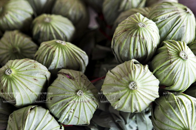 Se puede necesitar hasta 20 días para obtener té aromatizado de calidad. (Fuente: VNA)