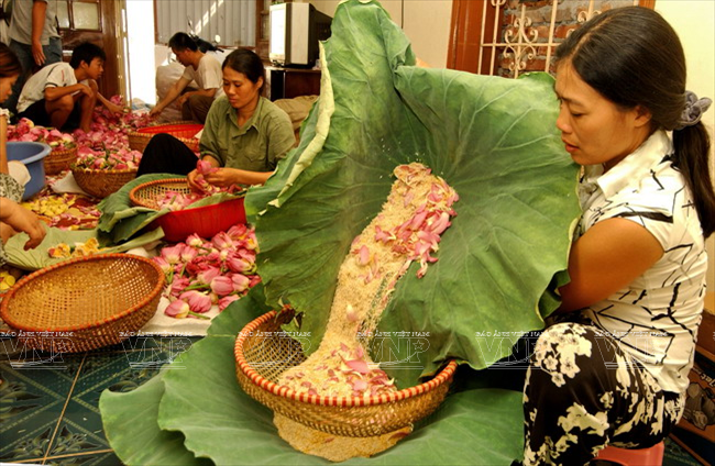 Después de tres días las utilizadas anteras y hojas son sustituidas por las nuevas. Este proceso se puede repetir siete veces. (Fuente: VNA)