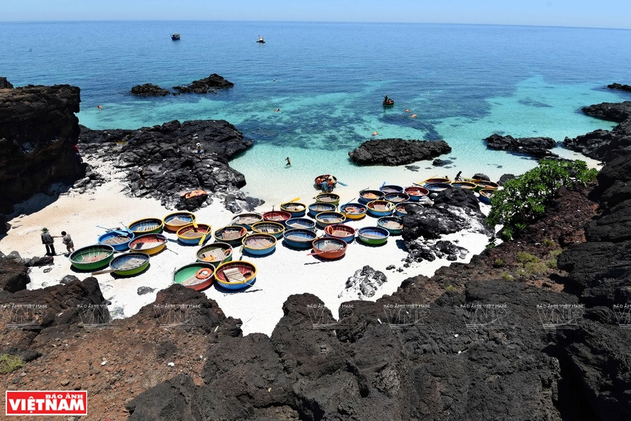 Los coracles utilizados por turistas que experimentan el buceo y observan hermosos arrecifes coralinos en la comuna de An Binh, distrito de Ly Son. (Foto: VNA)