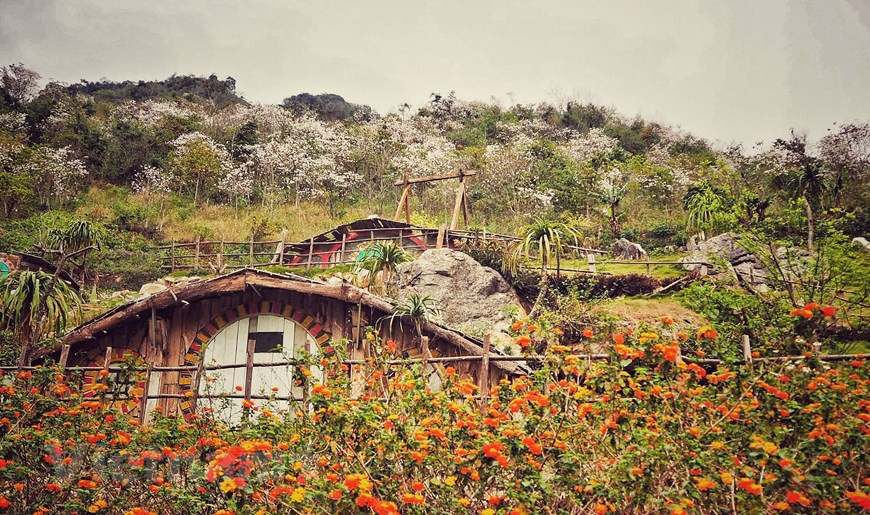 Después de pasar un día entero deambulando por la tierra de las hadas, los visitantes pueden tomarse un descanso en la casa de familia de Pho Nui Tinh Yeu en el centro del distrito de Moc Chau. (Foto: Vietnam+)