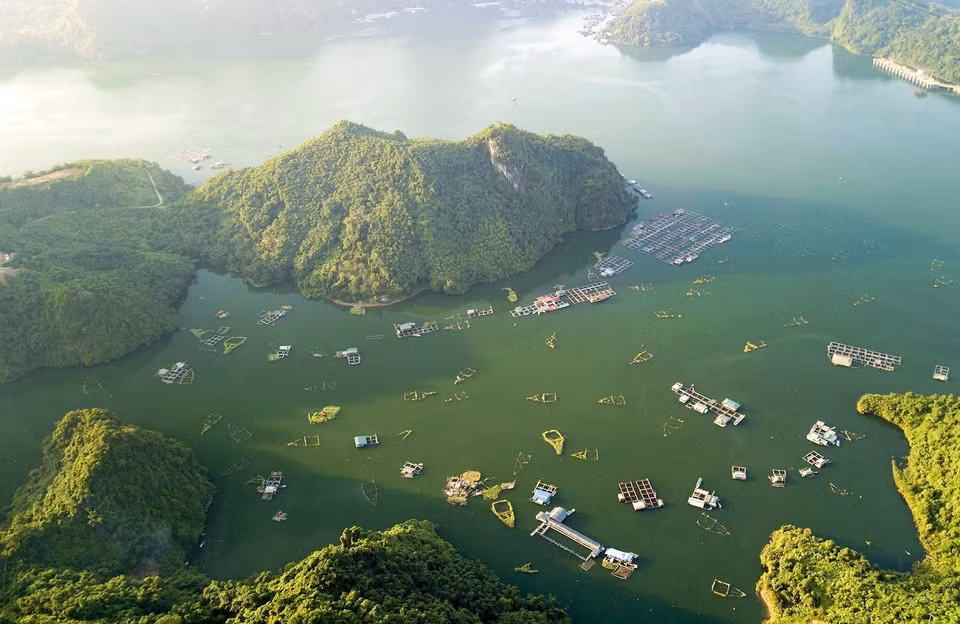 El desarrollo de la acuicultura combinada con el turismo es una gran ventaja para los residentes que crían peces en jaulas en las aguas del embalse Hoa Binh. (Foto: VNA)