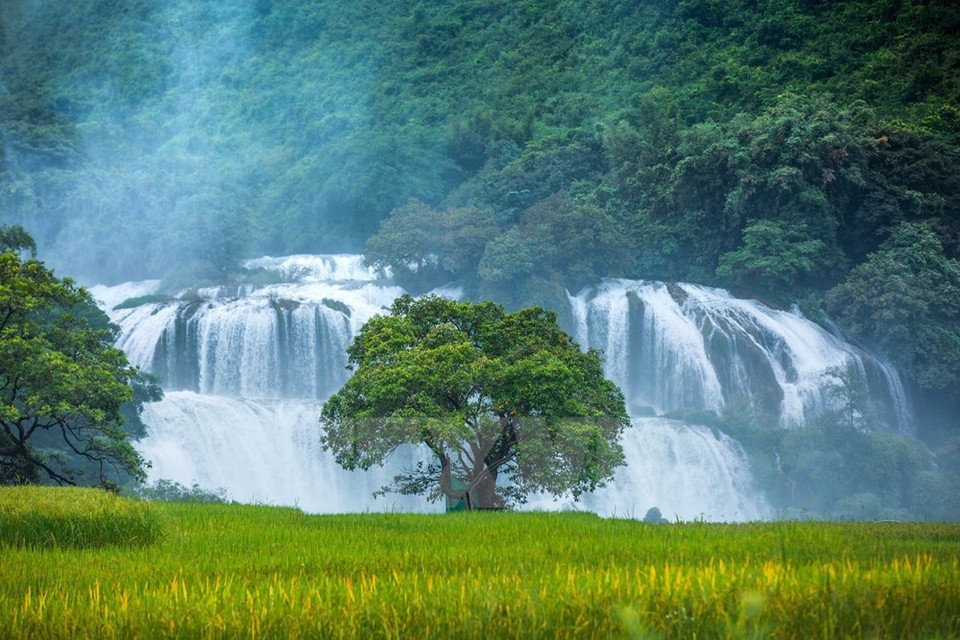 La Cascada de Ban Gioc, ubicada en la frontera Vietnam-China, está en la comuna de Dam Thuy del distrito de Trung Khanh (Foto: VNA)