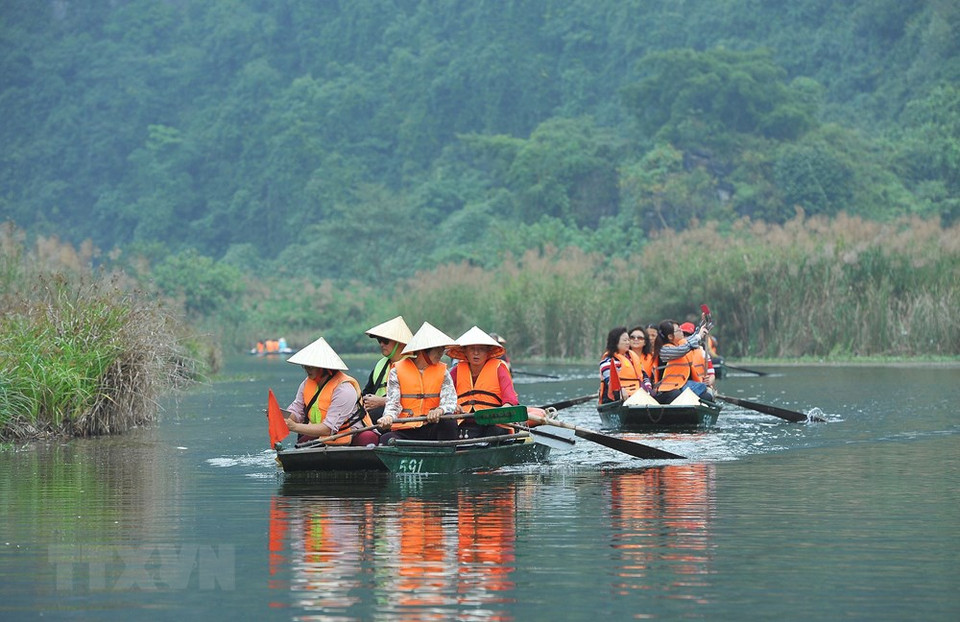 Los turistas visitan Trang An en la temporada de floración de plantae. (Foto: VNA)
