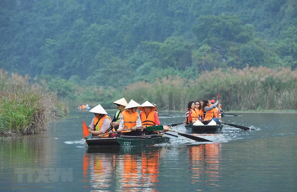 Los turistas visitan Trang An en la temporada de floración de plantae. (Foto: VNA)
