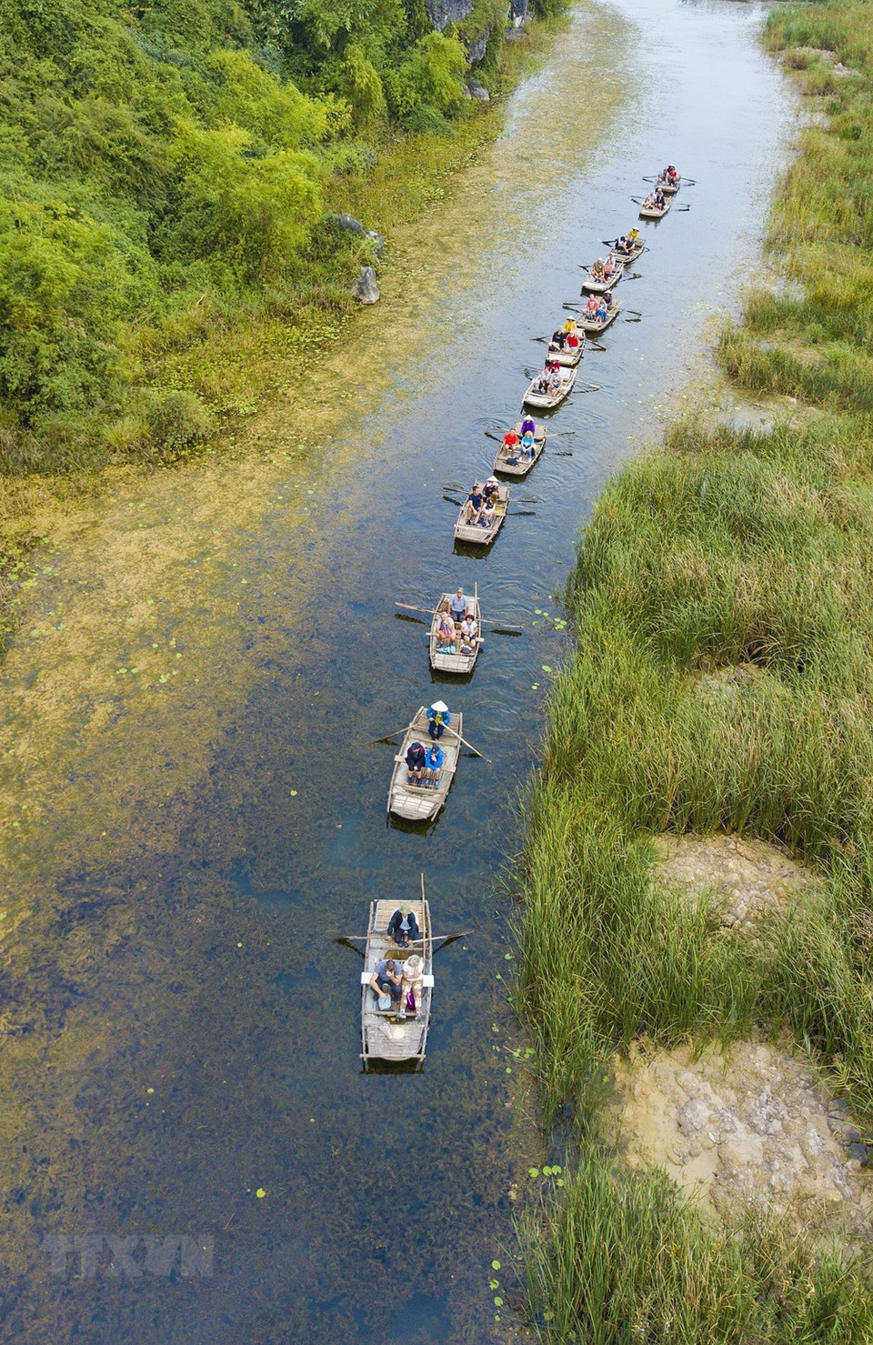 Los visitantes disfrutan de la belleza de la laguna Van Long y observan la belleza natural en la temporada de migración de las aves. (Foto: VNA)