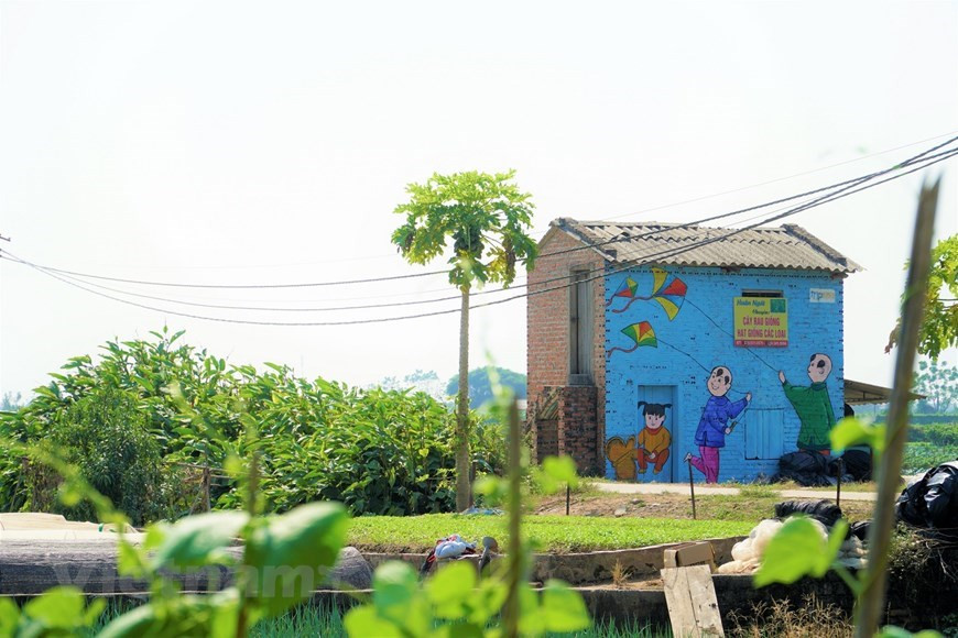 Las obras son parte de un proyecto para embellecer el área de producción agrícola (Foto: VNA) 