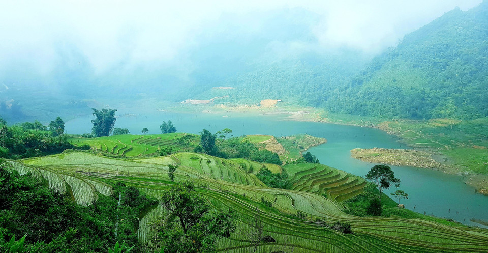 Los campos que se extienden hasta el horizonte aparecen en medio de paisajes naturales idílicos, junto con el fragante aroma de arroz en los nuevos valles que hacen de este lugar un destino ideal para vacacionistas. (Fuente: VNA)