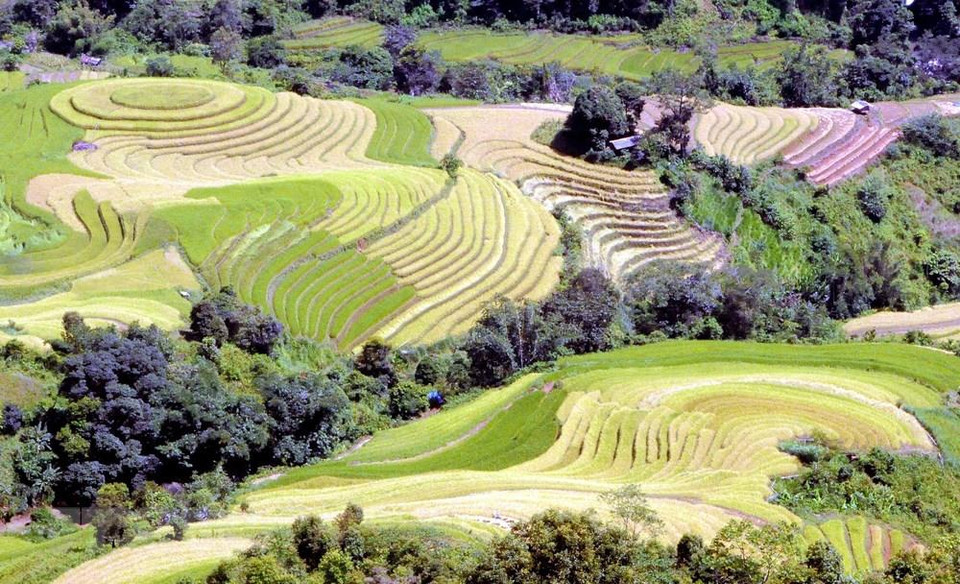 Terrazas en la comuna de Xim Vang, distrito de Bac Yen, en Son La. (Foto: VNA)