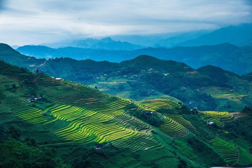 Los campos que se extienden hasta el horizonte aparecen en medio de paisajes naturales idílicos, junto con el fragante aroma de arroz en los nuevos valles que hacen de este lugar un destino ideal para vacacionistas. (Fuente: VNA)