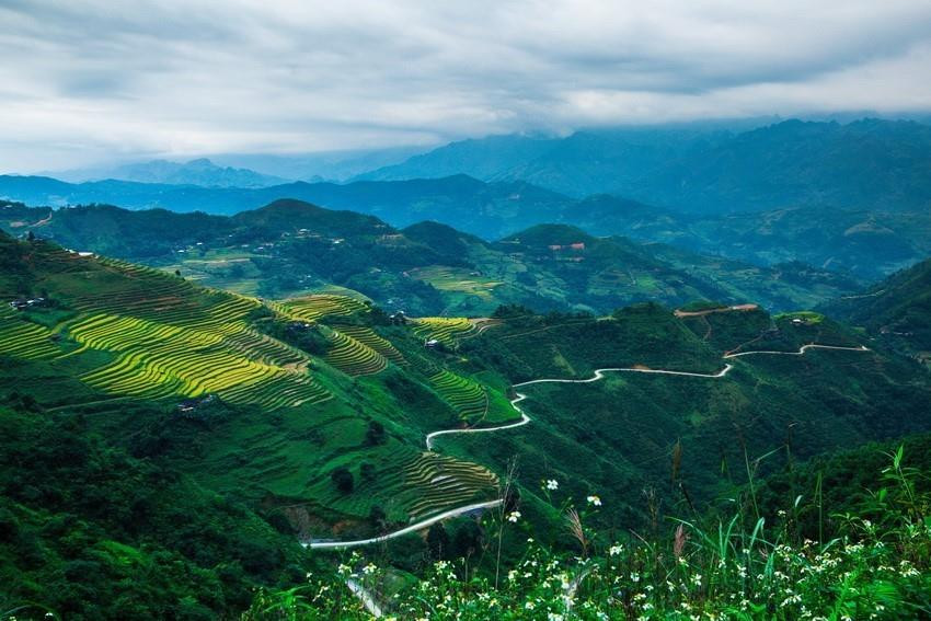 Los campos que se extienden hasta el horizonte aparecen en medio de paisajes naturales idílicos, junto con el fragante aroma de arroz en los nuevos valles que hacen de este lugar un destino ideal para vacacionistas. (Fuente: VNA)