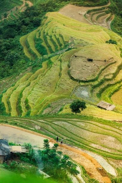 Los campos que se extienden hasta el horizonte aparecen en medio de paisajes naturales idílicos, junto con el fragante aroma de arroz en los nuevos valles que hacen de este lugar un destino ideal para vacacionistas. (Fuente: VNA)
