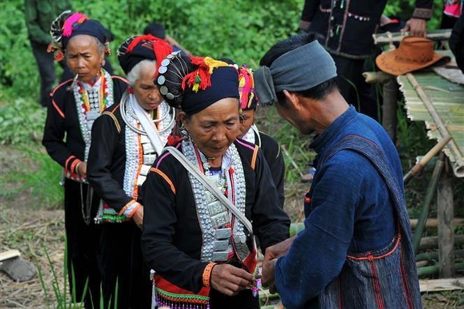 Ritual en campos de arroz para agradecer a la Madre Tierra, quien se cree que protege a los aldeanos de la mala suerte (Foto: VNA)
