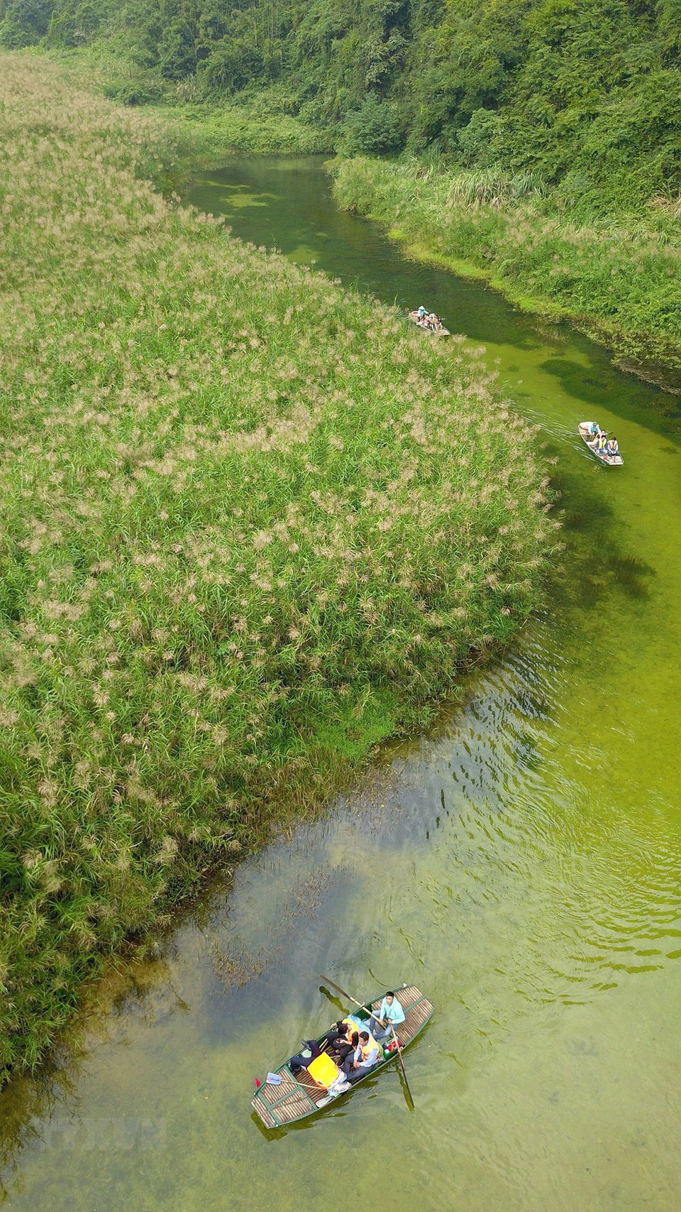 Un panorama pintoresco en Trang An (Foto: VNA)