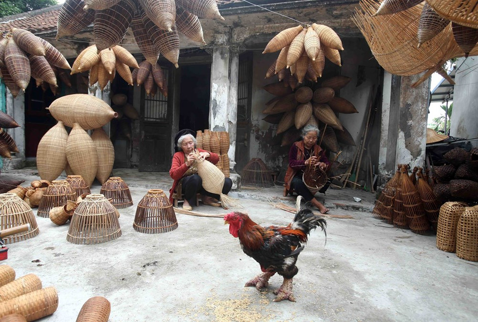 Imagen única de un pueblo rural de Vietnam. (Foto: VNA)