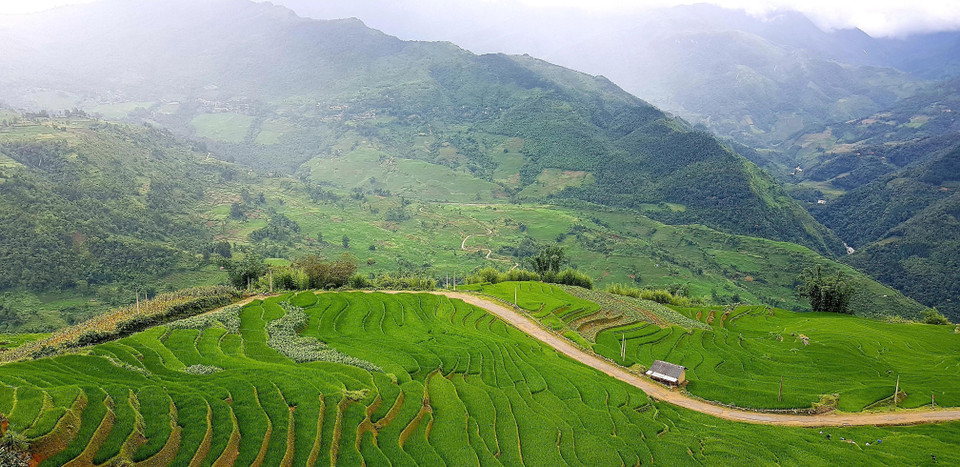 Los campos que se extienden hasta el horizonte aparecen en medio de paisajes naturales idílicos, junto con el fragante aroma de arroz en los nuevos valles que hacen de este lugar un destino ideal para vacacionistas. (Fuente: VNA)