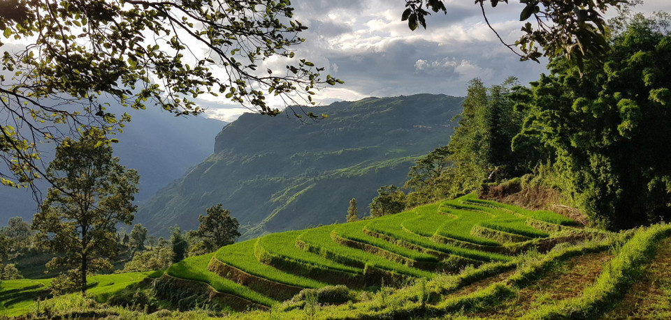 Los campos que se extienden hasta el horizonte aparecen en medio de paisajes naturales idílicos, junto con el fragante aroma de arroz en los nuevos valles que hacen de este lugar un destino ideal para vacacionistas. (Fuente: VNA)