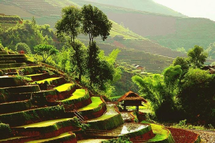 Los campos que se extienden hasta el horizonte aparecen en medio de paisajes naturales idílicos, junto con el fragante aroma de arroz en los nuevos valles que hacen de este lugar un destino ideal para vacacionistas. (Fuente: VNA)